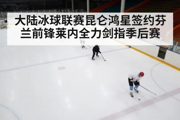 ice hockey rink